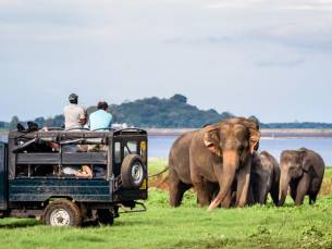 Jeepsafari Yala National Park