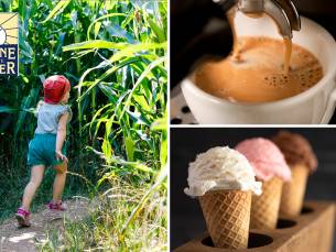 Entree maisdoolhof + koffie/thee + 2 bolletjes ijs + plakje cake