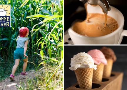 Entree maisdoolhof + koffie/thee + 2 bolletjes ijs + plakje cake
