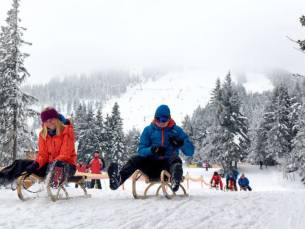 ALL-INCLUSIVE wintervakantie in een knus familiehotel in Beieren incl. GRATIS toegang tot wellness & zwembad!