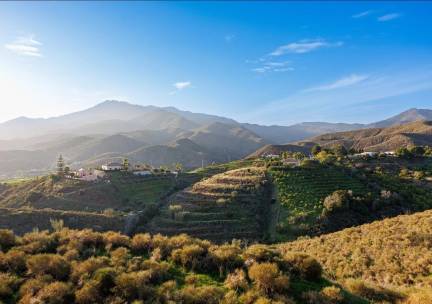 Fly-drive Ontdek de pueblos blancos