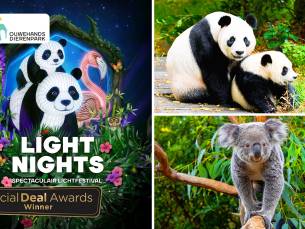 Entree Light Nights in Ouwehands Dierenpark