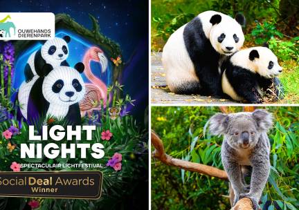 Entree Light Nights in Ouwehands Dierenpark