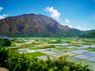 Ontdek Lombok
