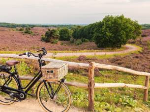 STUNT! ⚡ Ontspan op een prachtig landgoed op de Veluwe incl. ontbijt, 3-gangendiner en GRATIS sauna!
