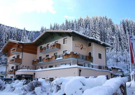 Appartement Der Schmittenhof