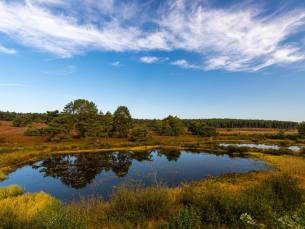 Verblijf in het Belgische Mol in een hotel met BAR & TERRAS incl. ontbijt!