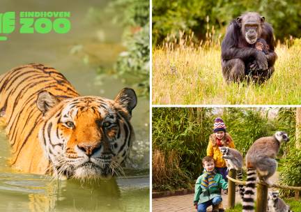 Gehele dag entree tot Eindhoven Zoo