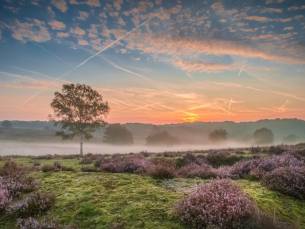 Geniet in een 4*-hotel van cultuur, natuur en historie in het centrum van Nijmegen incl. ontbijt