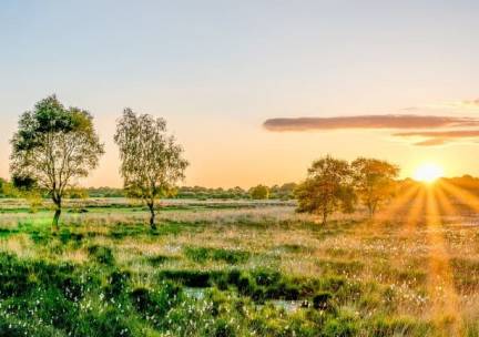 Fietsvakantie Zuidelijk Twente-Noordelijke Achterhoek