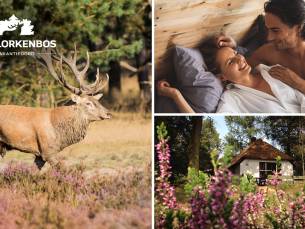 Weekend of midweek weg (2 tot 8 pers.) op de Veluwe