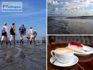 (Kinder-)wadlooptocht (2 of 2,5 uur) + koffie/thee + gebak