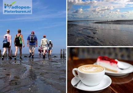 (Kinder-)wadlooptocht (2 of 2,5 uur) + koffie/thee + gebak
