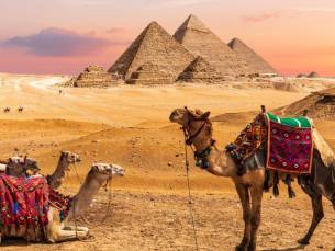 ????VROEGBOEK Alles-in-1-Deal: CA&Iuml;RO! ???? | Stedentrip Ca&iuml;ro incl. vlucht, transfer, hotels, ontbijt + dagexcursie Piramides, entree Egyptisch Museum & MEER!