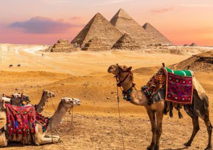 ????VROEGBOEK Alles-in-1-Deal: CA&Iuml;RO! ???? | Stedentrip Ca&iuml;ro incl. vlucht, transfer, hotels, ontbijt + dagexcursie Piramides, entree Egyptisch Museum & MEER!
