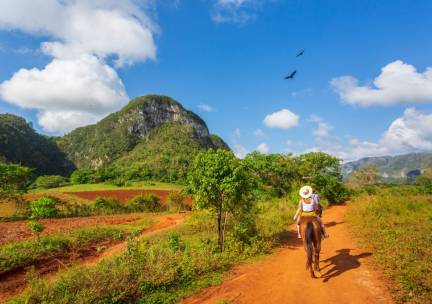 Vi&ntilde;ales te paard