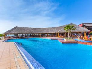 Royal Horizon Baobab