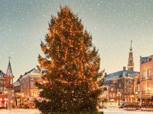 ✨ Kerstmagie in Den Bosch! ???? Verblijf in een luxe 4*-hotel direct aan de markt in hartje Den Bosch incl. ontbijt en borrelplank