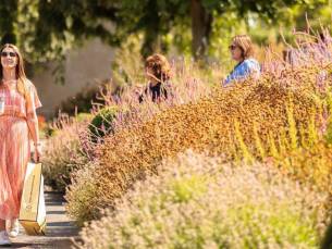 Ireland at a Glance o.b.v. B&B's