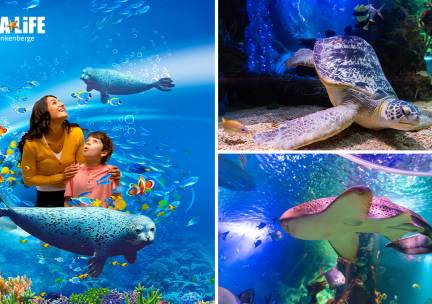 Entree SEA LIFE Blankenberge