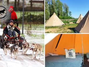 Overnachting voor 1 + husky-karrenronde, high tea, ontbijt en meer