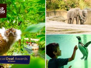 Dagentree voor WILDLANDS Adventure Zoo Emmen