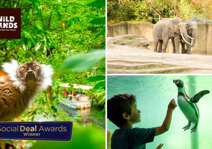 Dagentree voor WILDLANDS Adventure Zoo Emmen