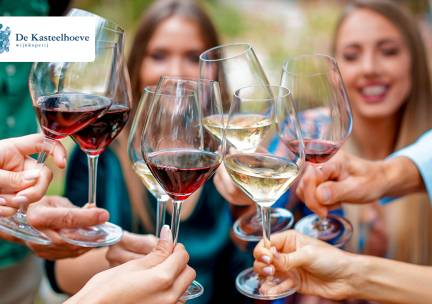 Wijnproeverij bij jou thuis + fles wijn (4, 6 of 8 pers) of bubbelproeverij (6 pers)