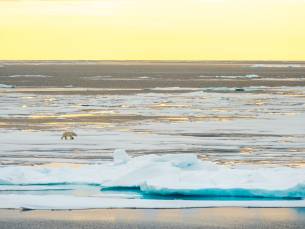 Spitzbergen Umrundung inkl. Nordaustlandet