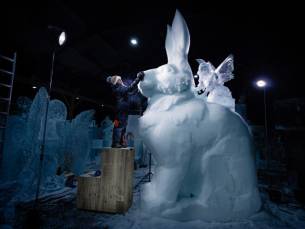 Nederlands IJsbeelden Festival