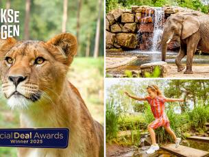 Entree Safaripark Beekse Bergen