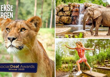 Entree Safaripark Beekse Bergen
