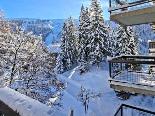 R&eacute;sidence Betelgeuse