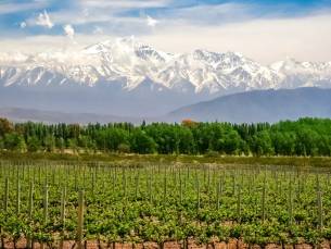 Wines & Wonders of South America