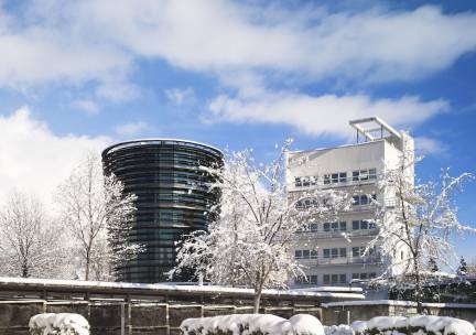 Parkhotel Hall in Tirol