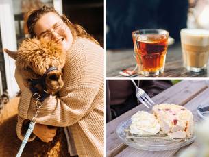 Alpaca meet & feed + koffie/thee en gebak bij Wilgenhart