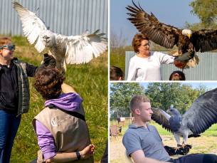 Valkeniersworkshop (3 uur) bij Falconcrest
