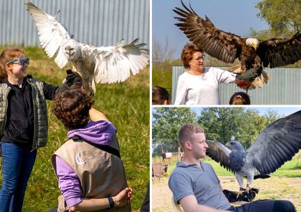 Valkeniersworkshop (3 uur) bij Falconcrest