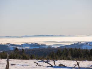 Am Südhang apartment 28 | Cozy holiday home in Winterberg with panoramic view