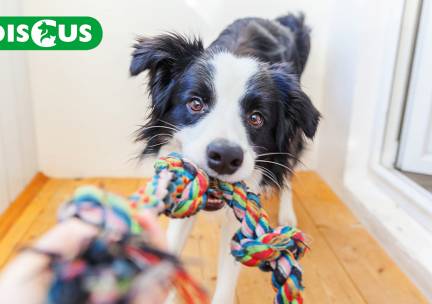Waardebon voor dierenspeciaalzaak