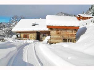 Chalet Petit Ch&acirc;tel