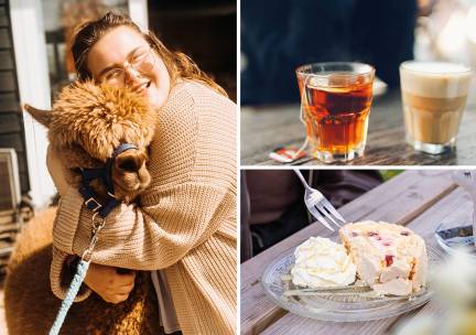 Alpaca Meet & Feed incl. gebak + drankje naar keuze bij Wilgenhart