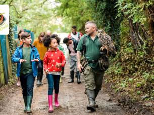 Wandeling met uilen (1 uur)