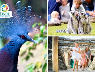 Entree Avifauna + XXL-speeltuin