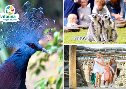 Entree Avifauna + XXL-speeltuin