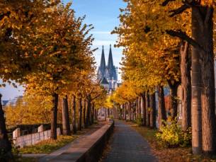 Hotel Maritim Cologne
