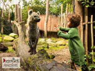 Entree DierenPark Amersfoort