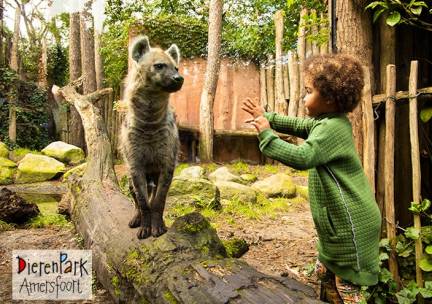 Entree DierenPark Amersfoort
