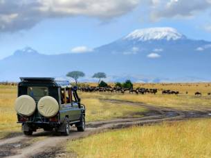 Safari Discover Kenia