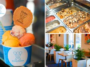 10 bollen ijs naar keuze van IJssalon Florence